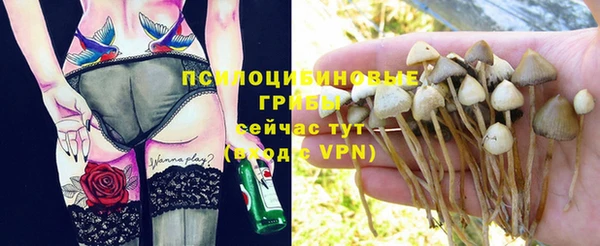 меф Володарск