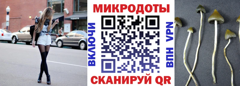 Галлюциногенные грибы Psilocybe Купить закладки Пущино